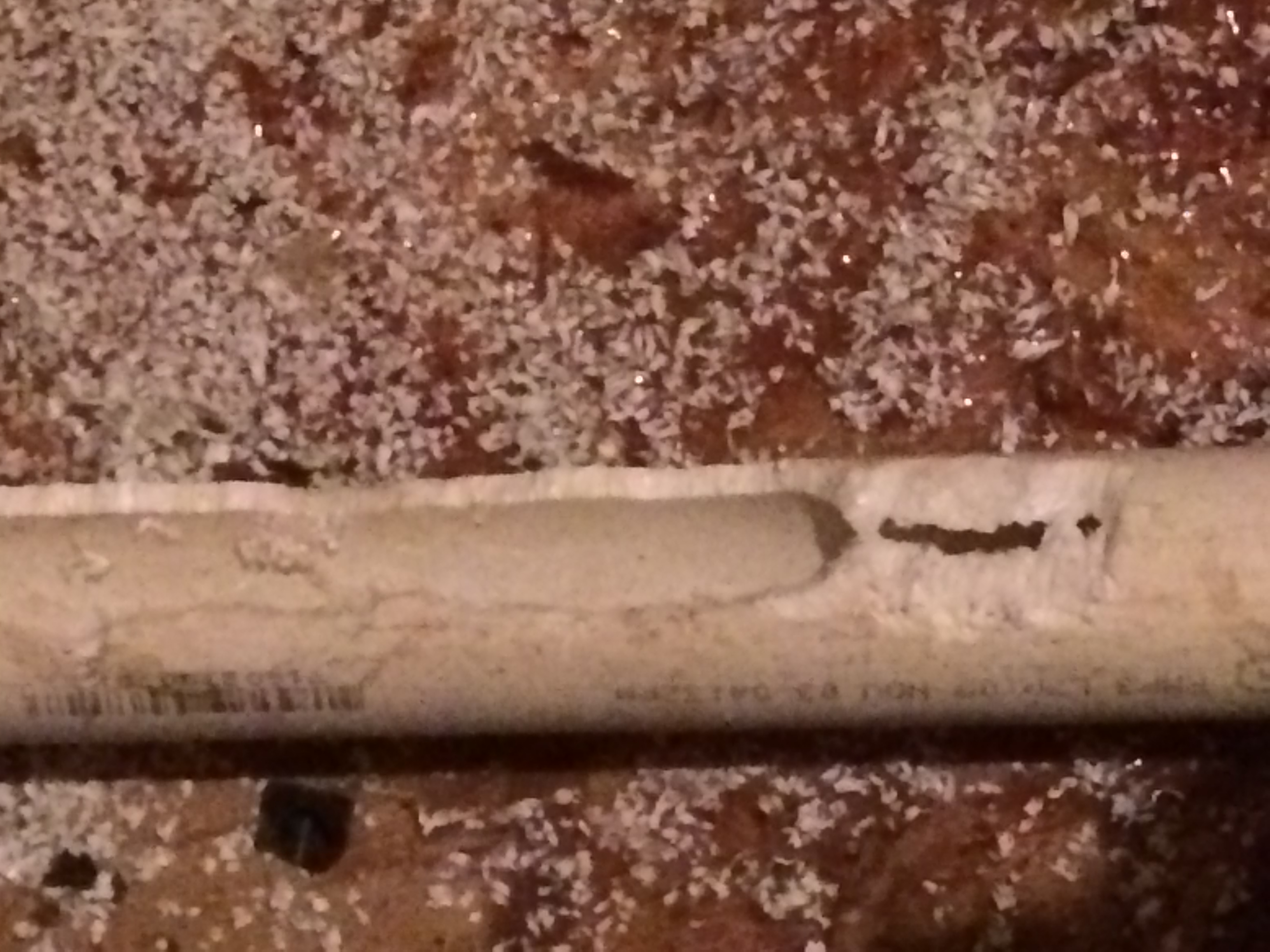 Degats causes par les rats - câbles ronges