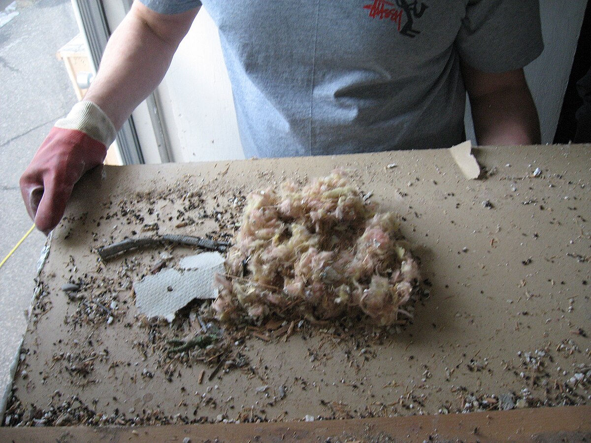 Nid de souris dans l'isolation